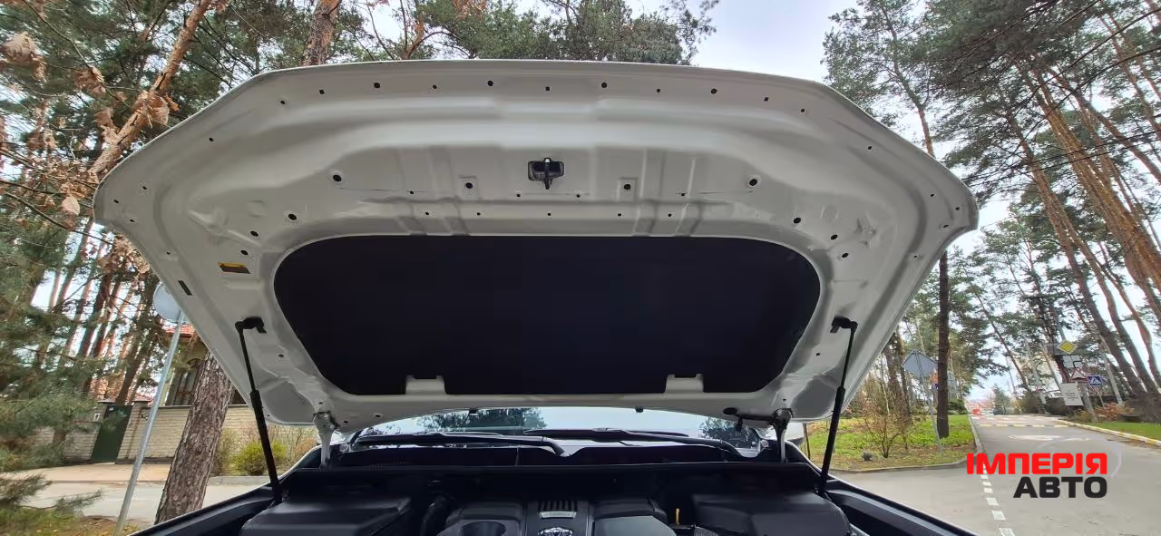 Toyota Land Cruiser - фото 33