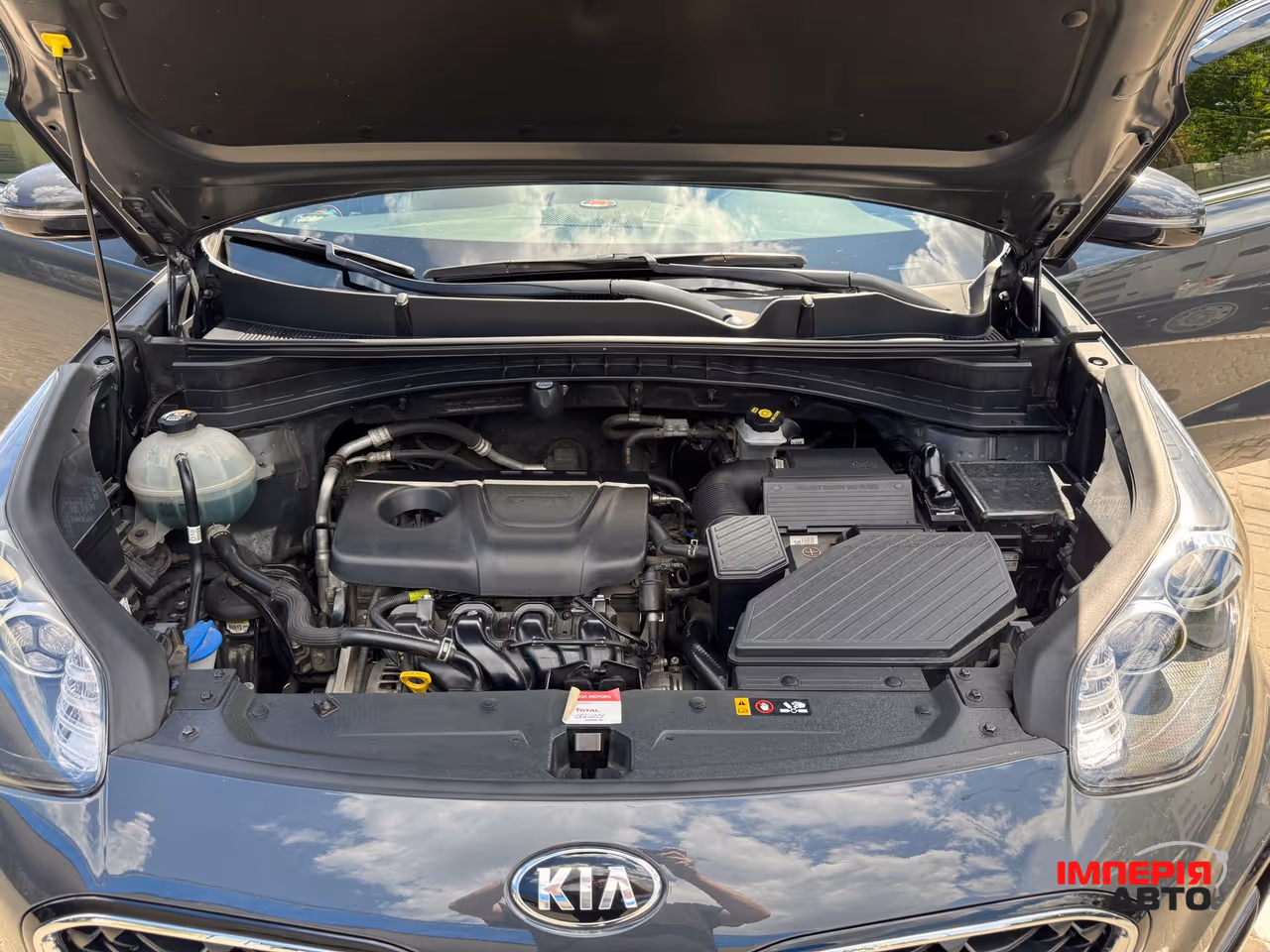 Kia Sportage - фото 19