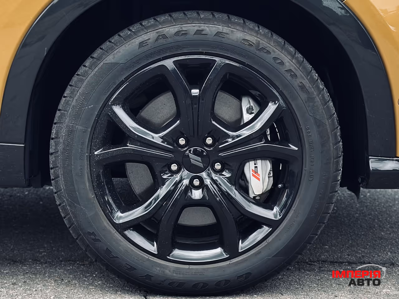 Dodge Hornet - фото 34