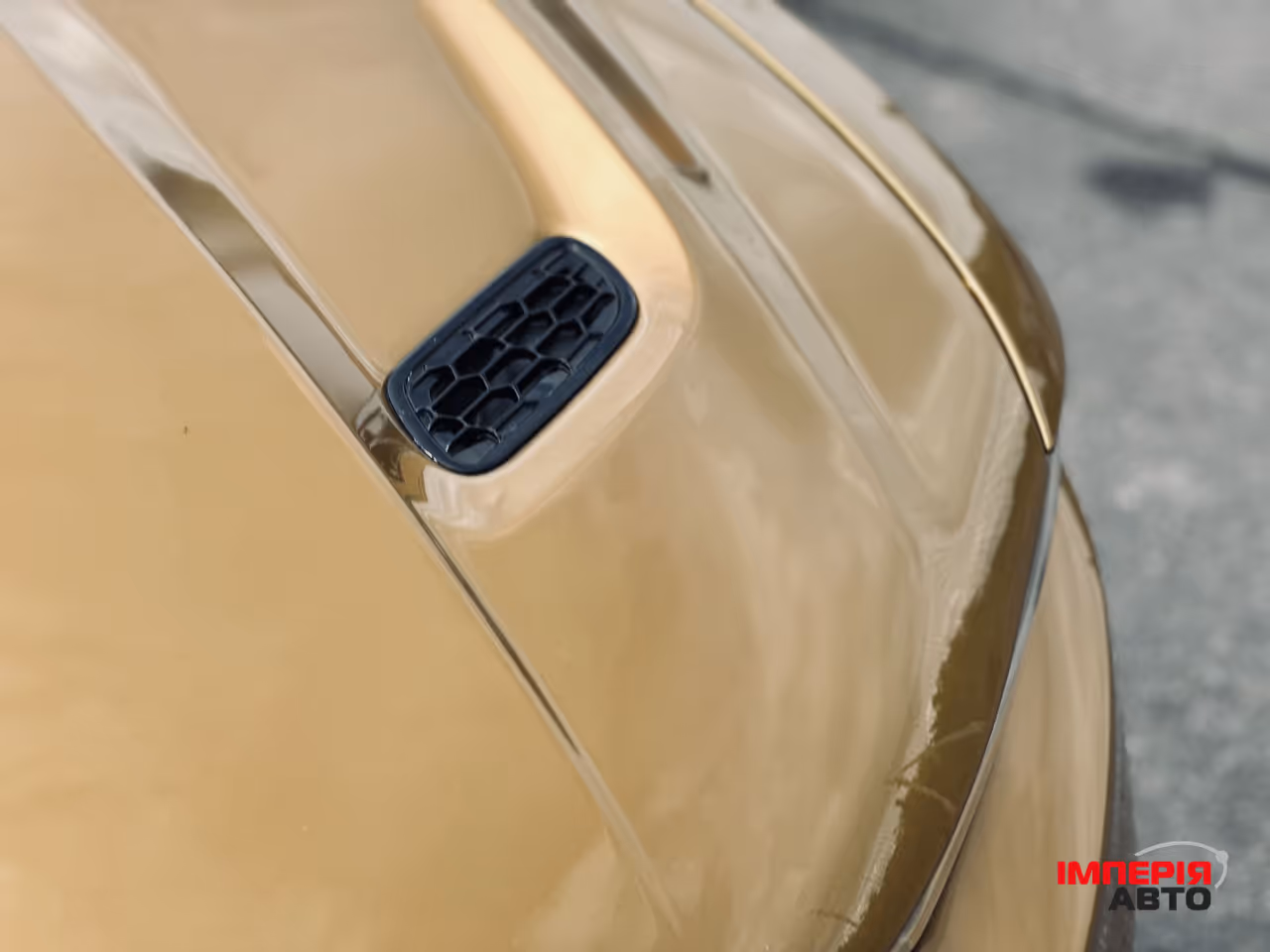 Dodge Hornet - фото 11