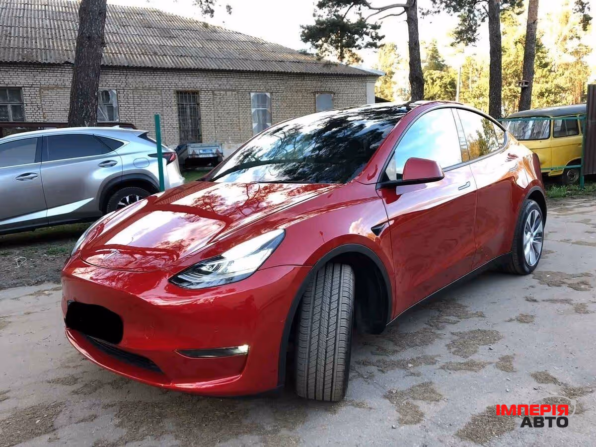 Tesla Model Y - фото 4