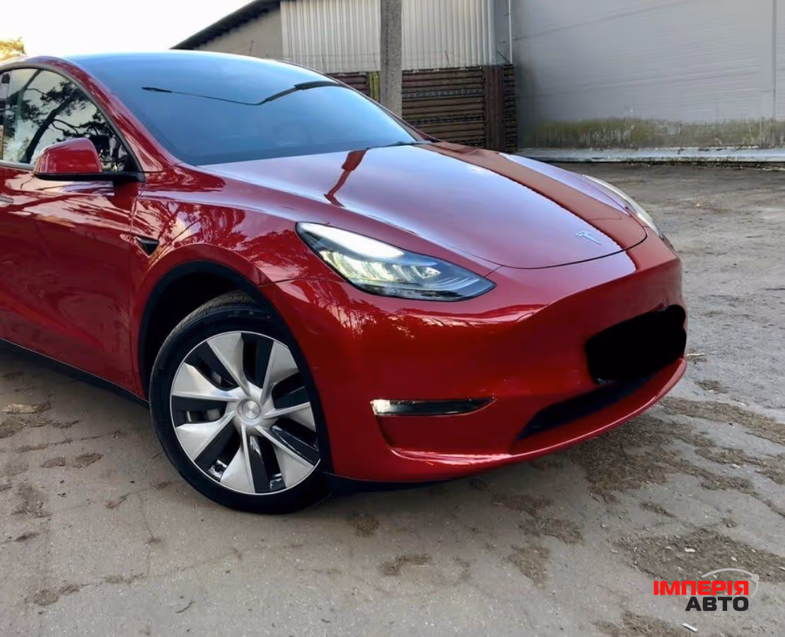Tesla Model Y - фото 2