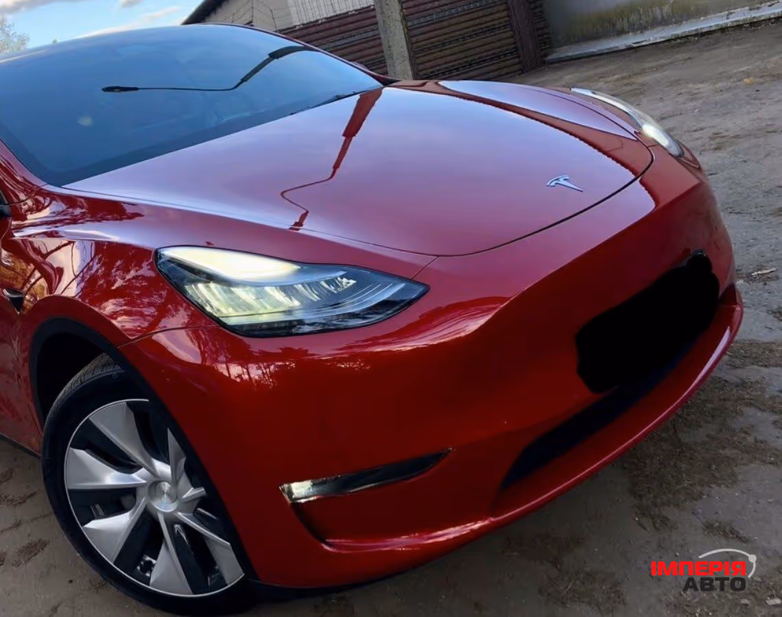 Tesla Model Y - фото 1