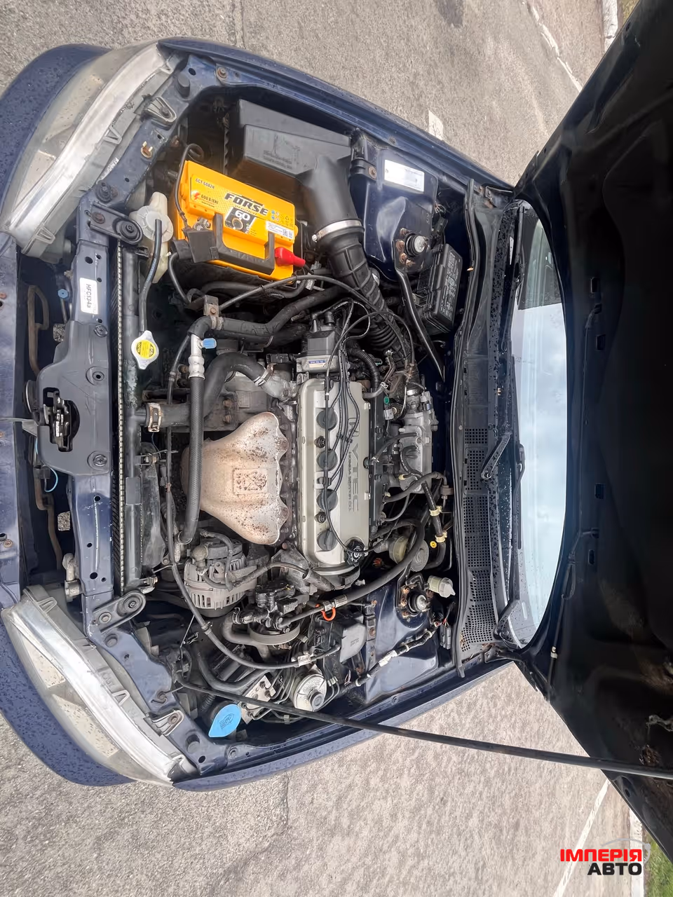 Honda Accord - фото 6