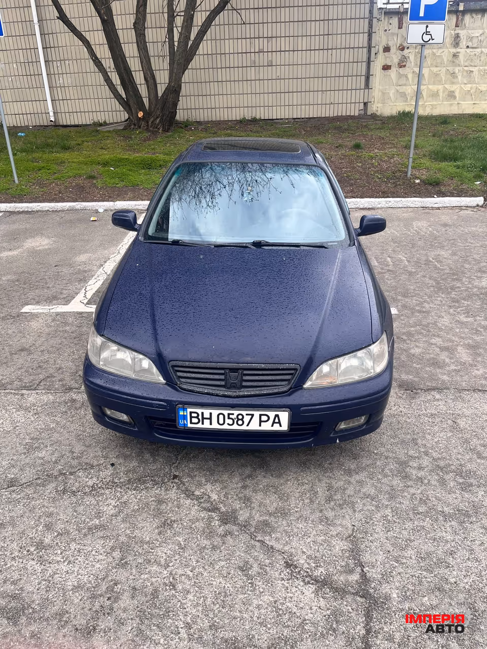 Honda Accord - фото 1