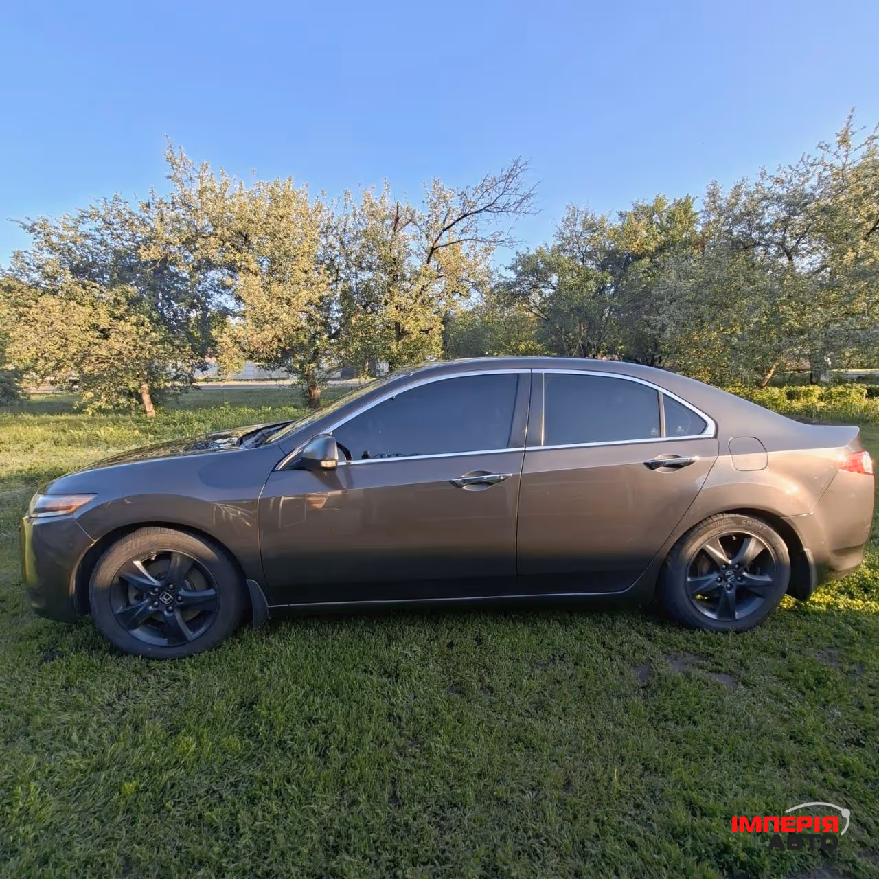 Honda Accord - фото 6