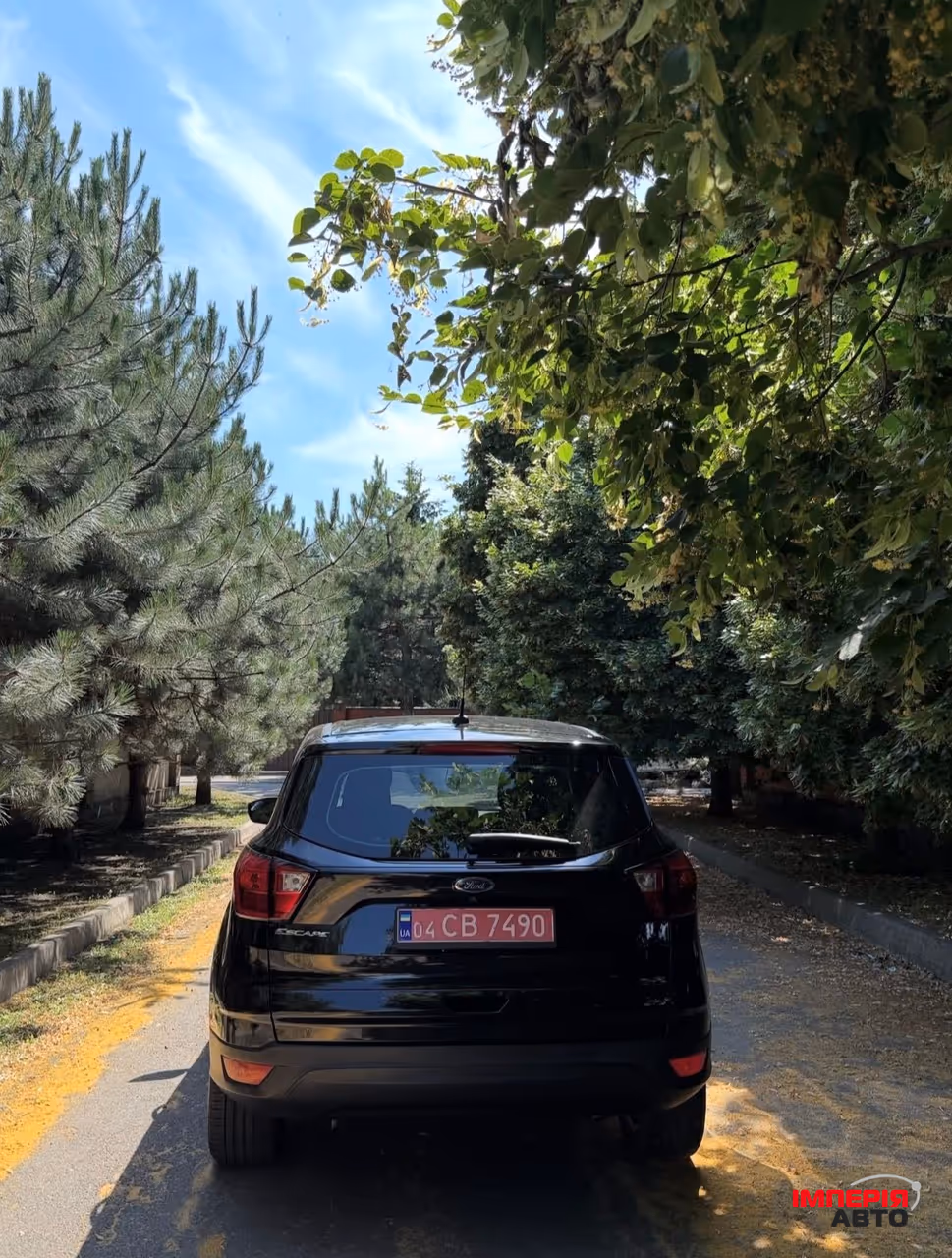 Ford Escape - фото 4