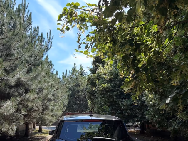 Ford Escape - фото 4