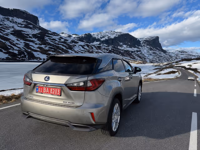 Lexus RX - фото 3