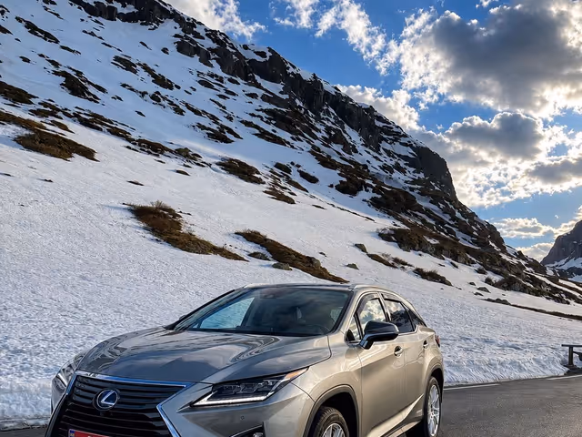Lexus RX - фото 1