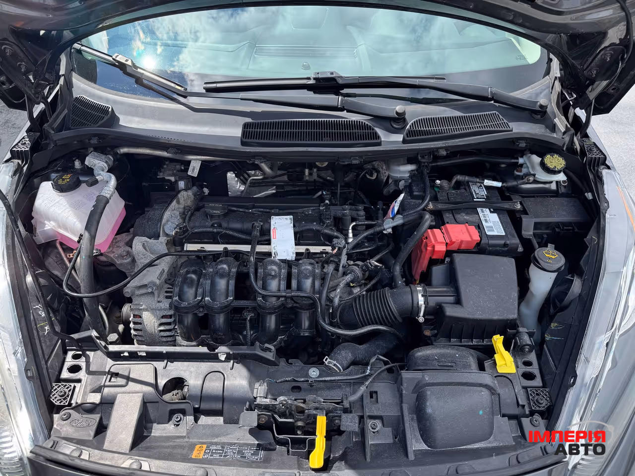 Ford Fiesta - фото 69