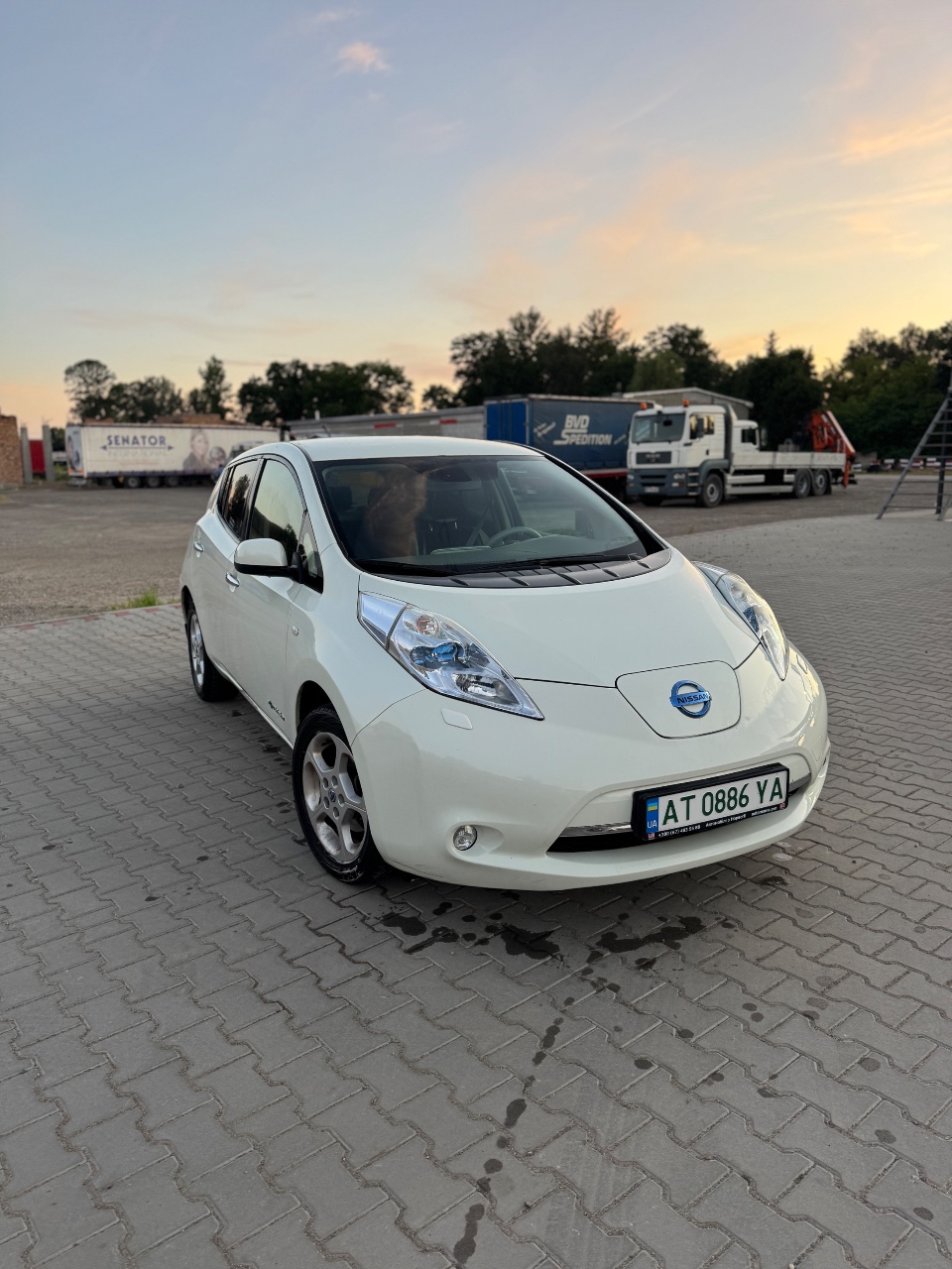Nissan Leaf - фото 1