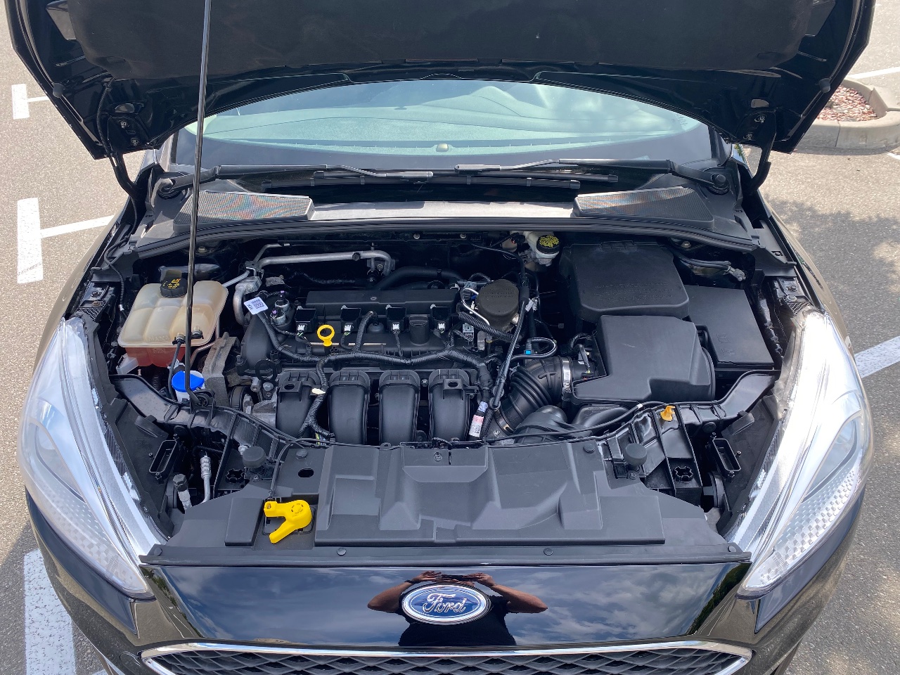 Ford Focus - фото 24