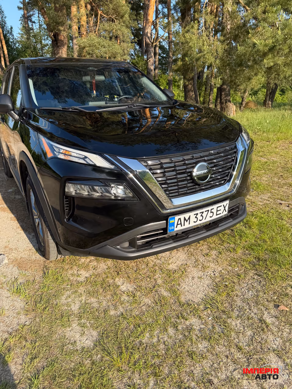 Nissan Rogue - фото 1