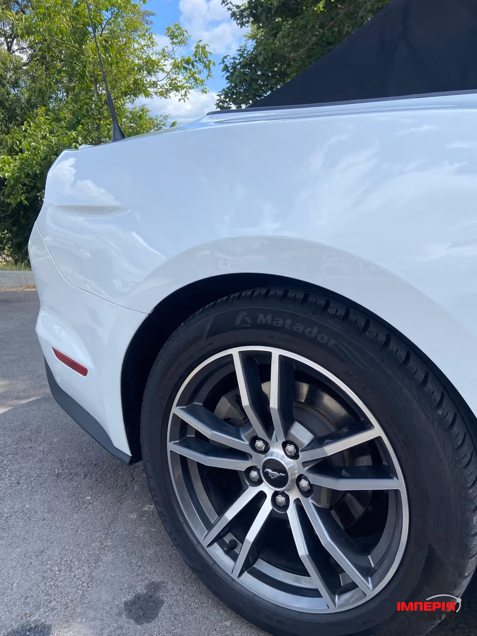 Ford Mustang - фото 19