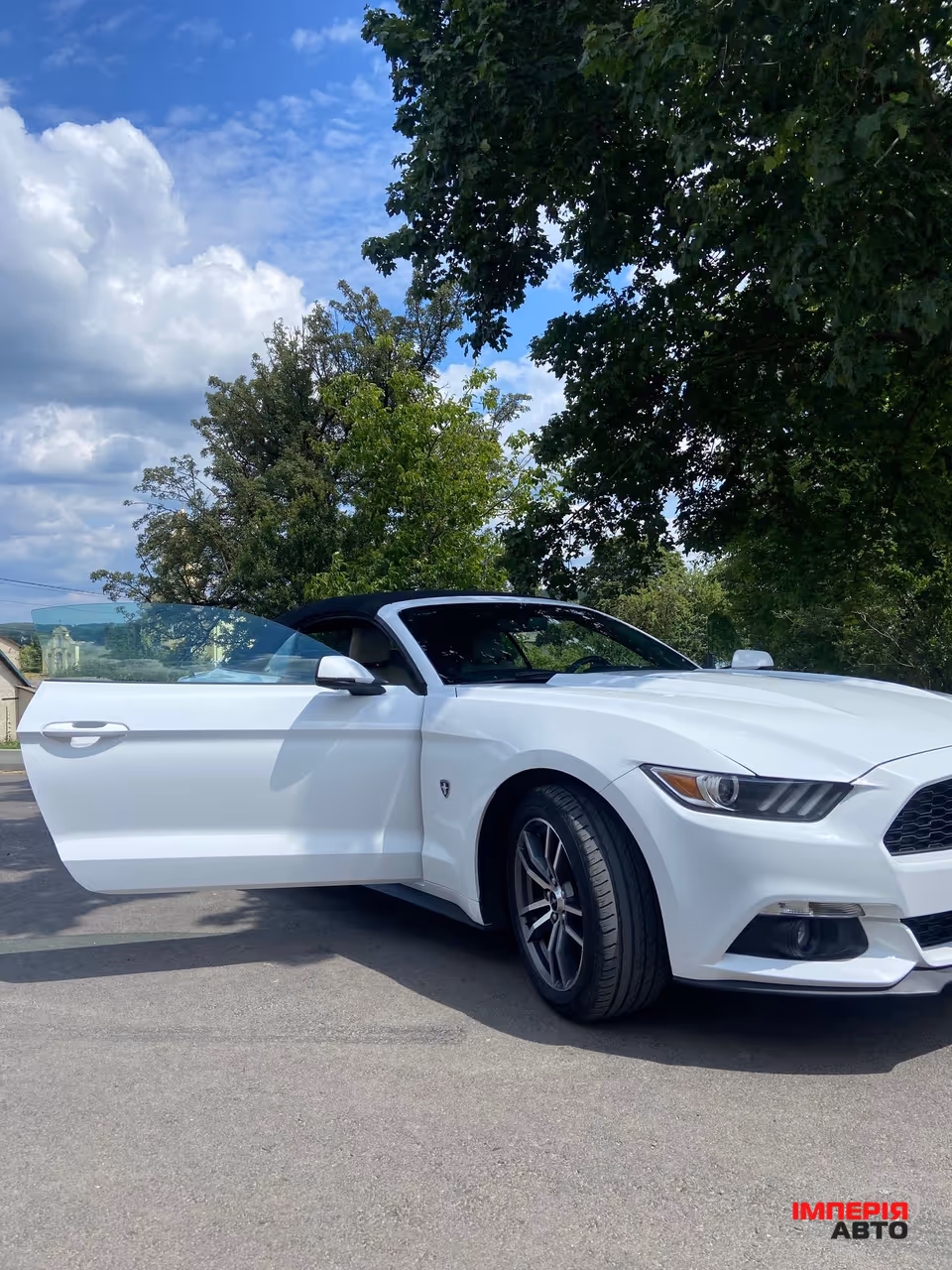 Ford Mustang - фото 25