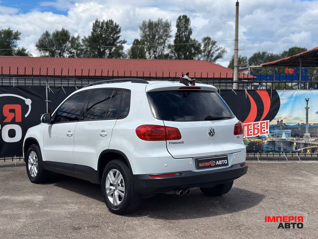 Volkswagen Tiguan - фото 6