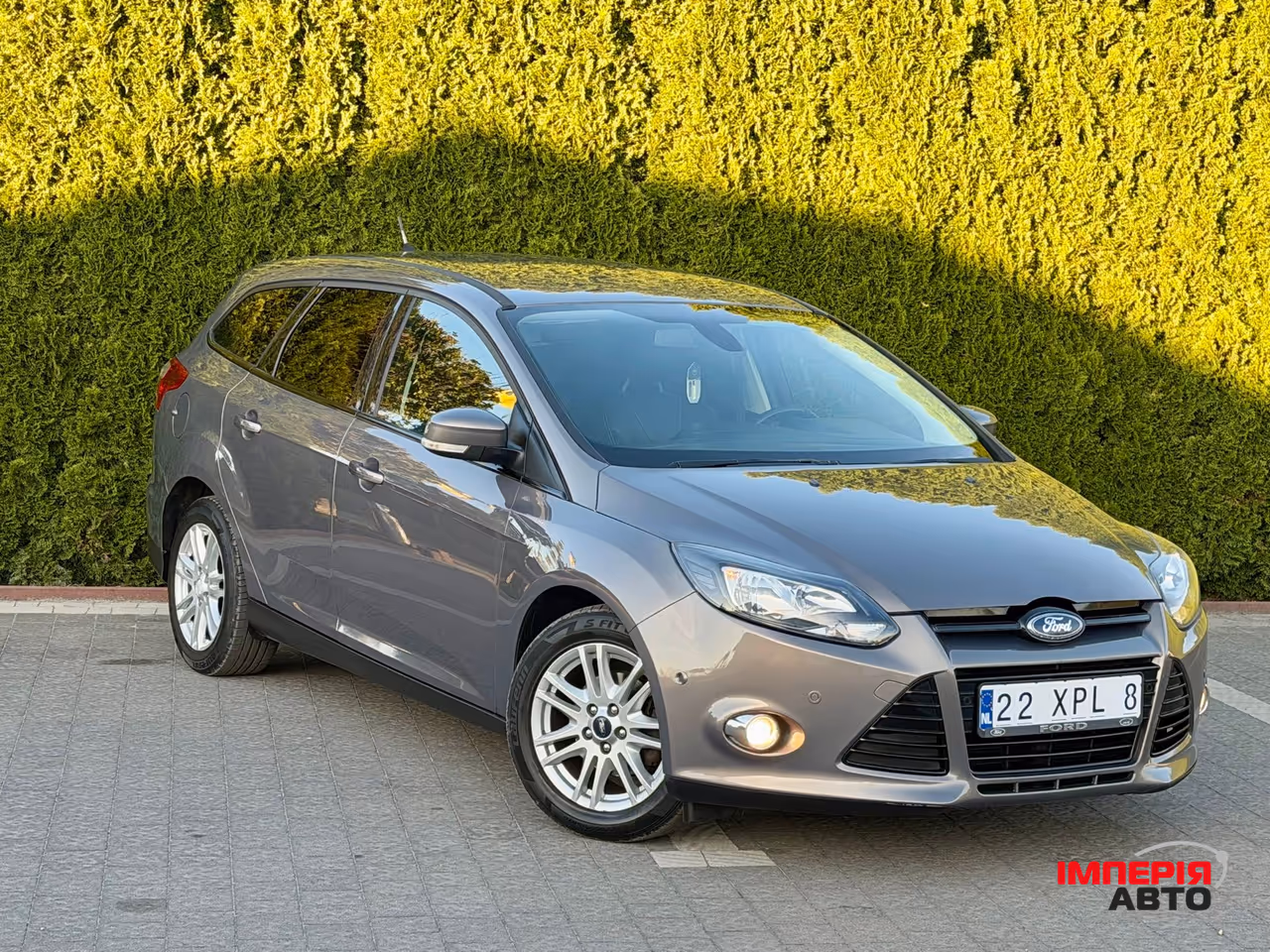 Ford Focus - фото 95