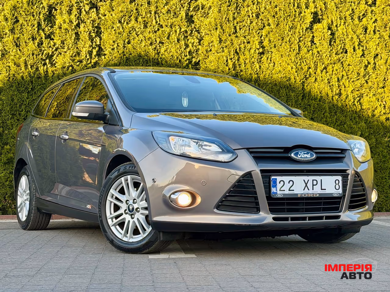 Ford Focus - фото 96