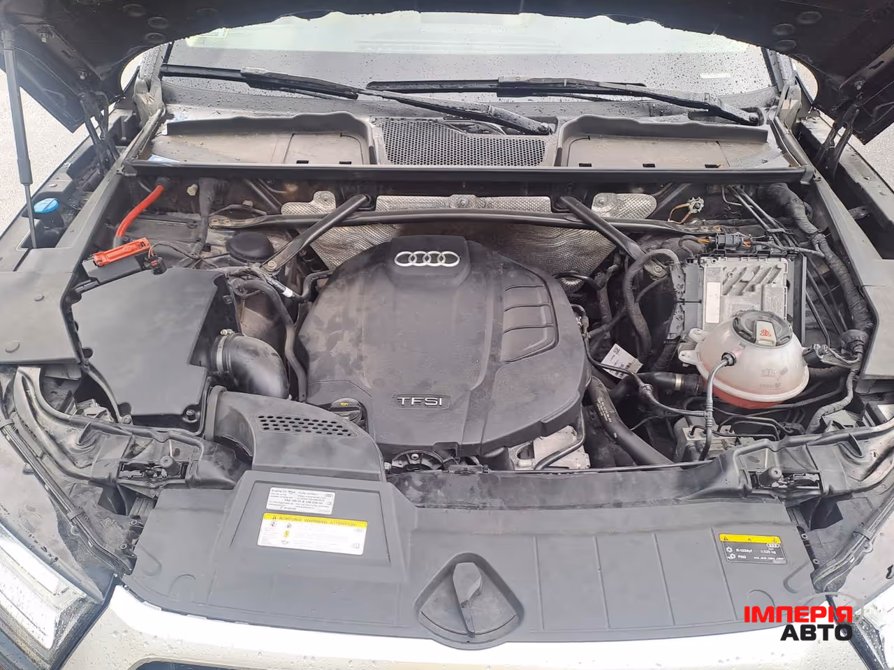 Audi Q5 - фото 38