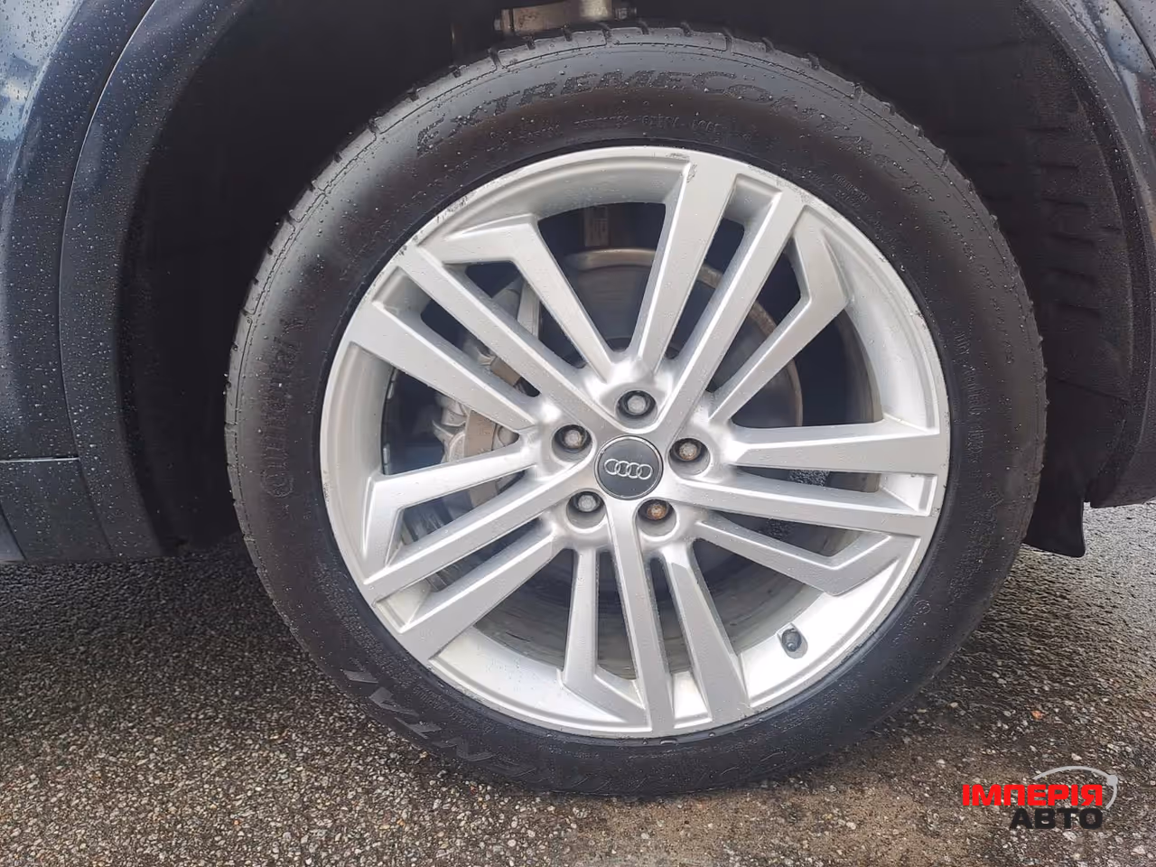 Audi Q5 - фото 45