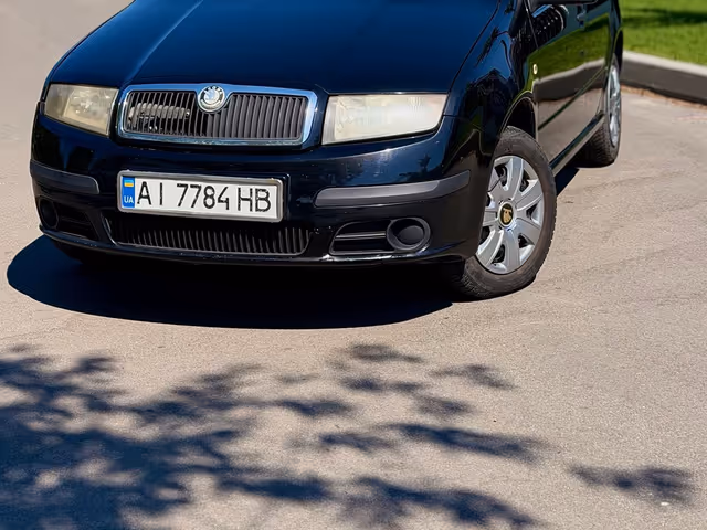 Skoda Fabia - фото 1