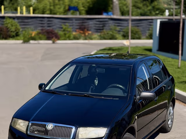Skoda Fabia - фото 3