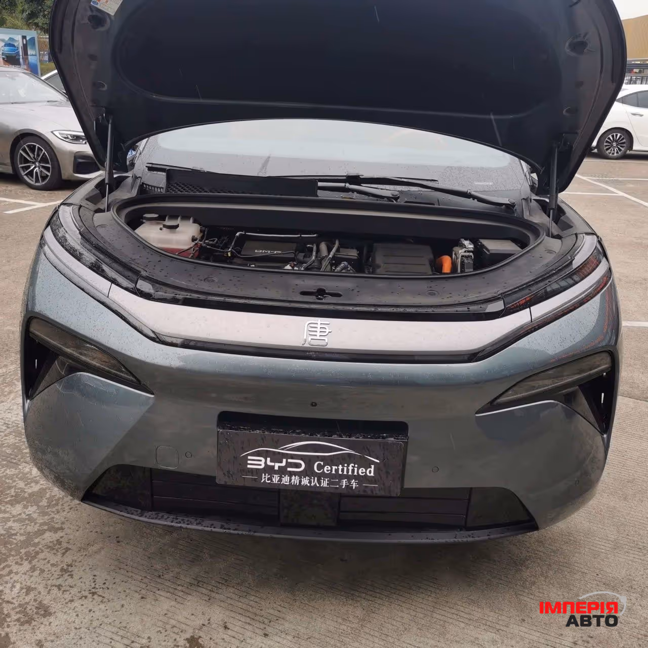 BYD Tang L - фото 2