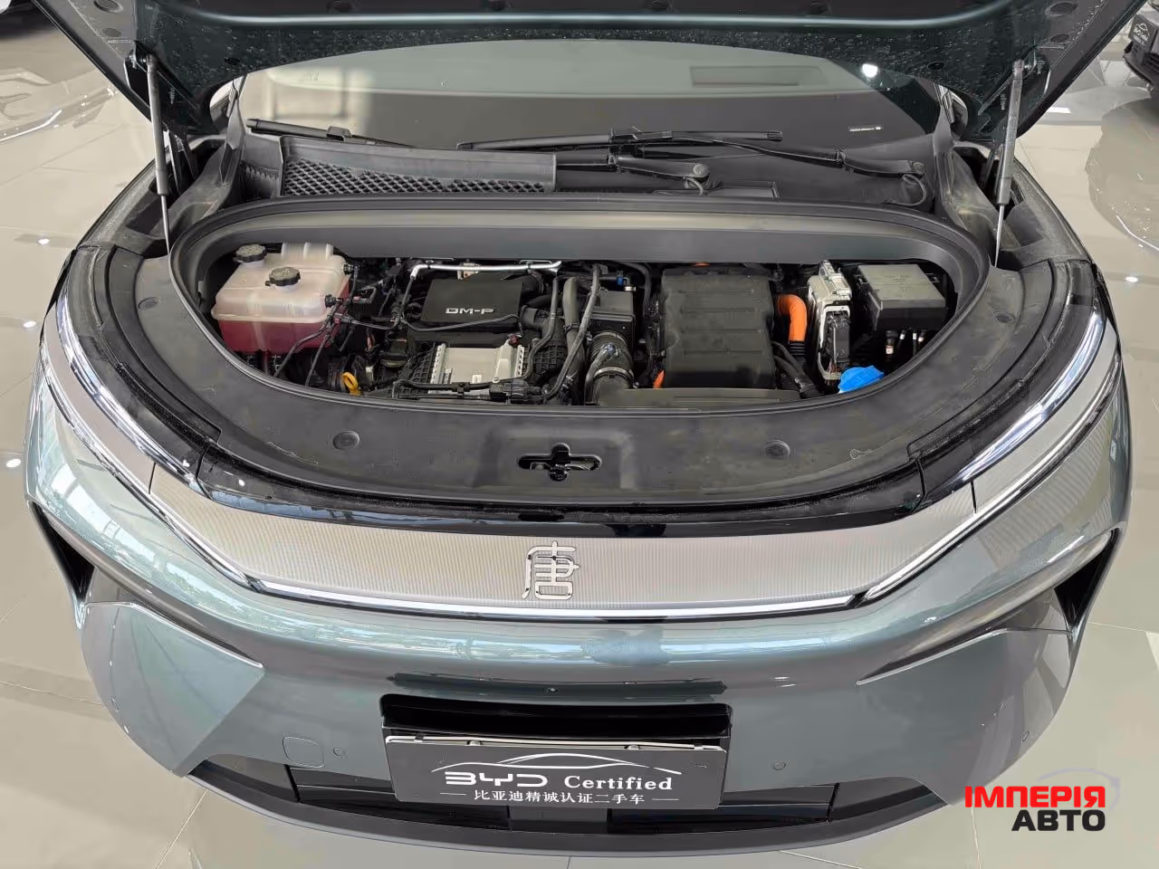 BYD Tang L - фото 3