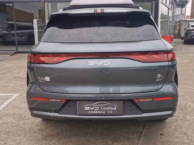 BYD Tang L - фото 4