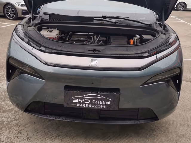 BYD Tang L - фото 2
