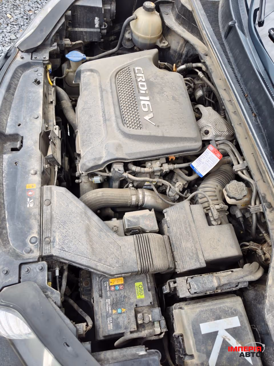 Kia Sportage - фото 19