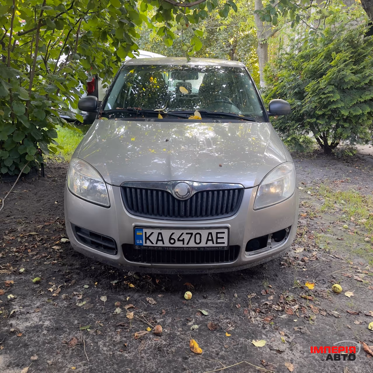 Skoda Fabia - фото 1