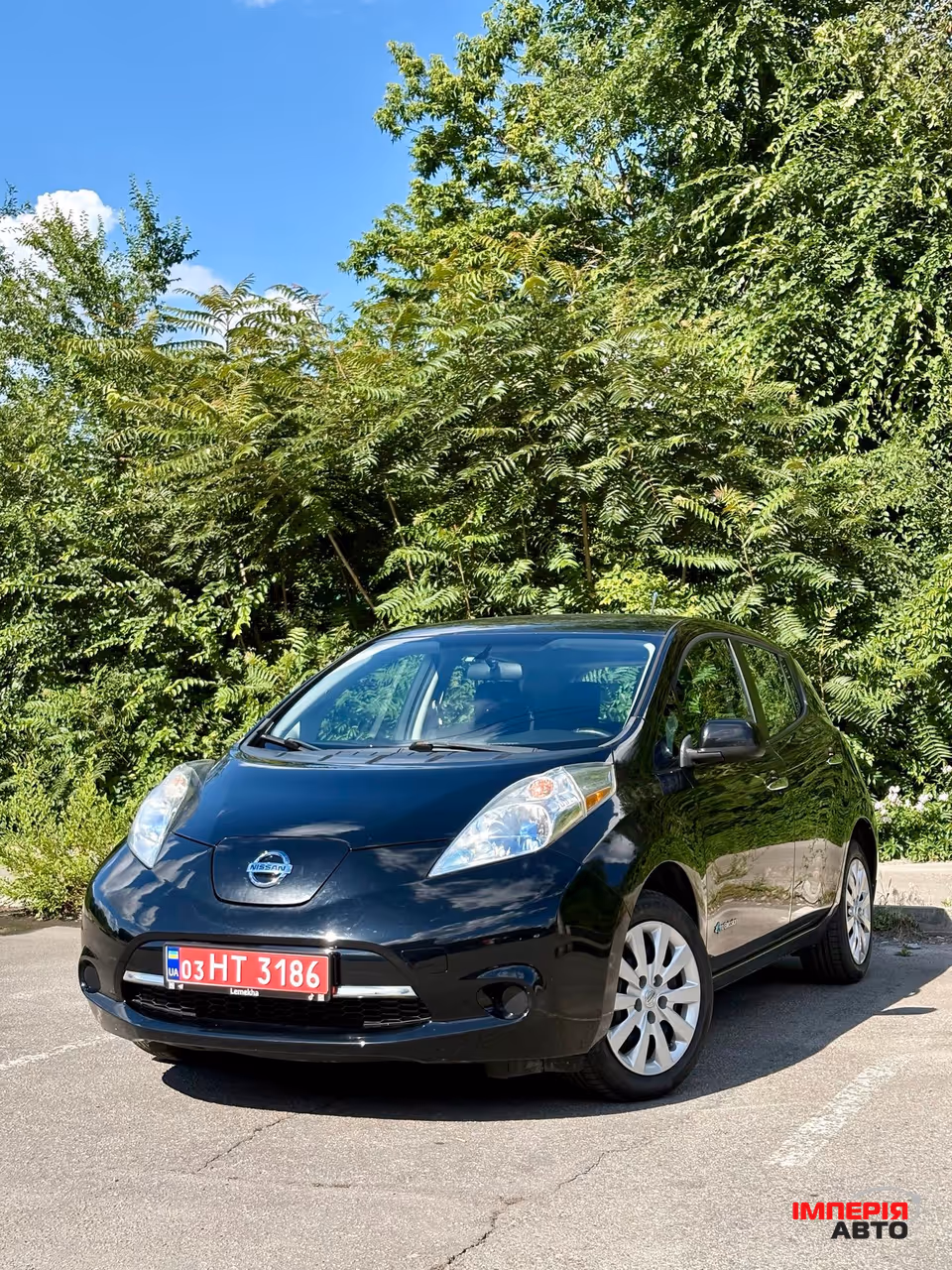 Nissan Leaf - фото 1