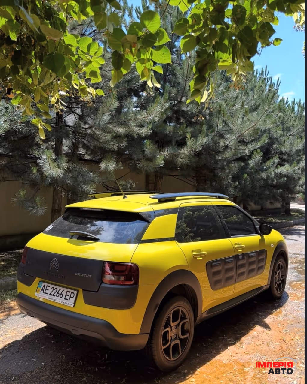 Citroen C4 Cactus - фото 5