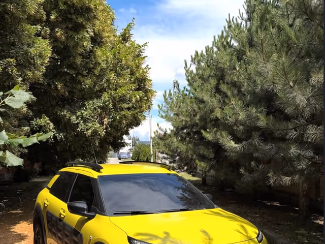 Citroen C4 Cactus - фото 4