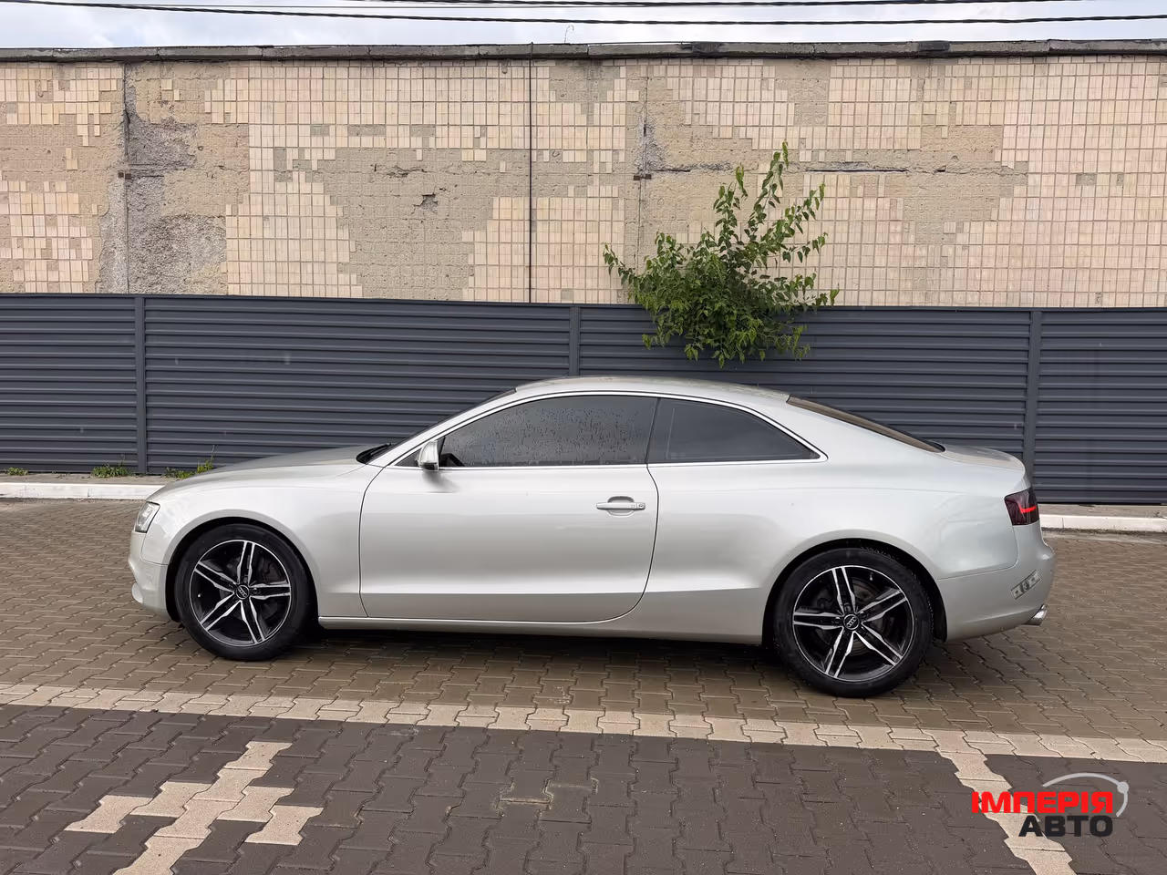 Audi A5 - фото 8