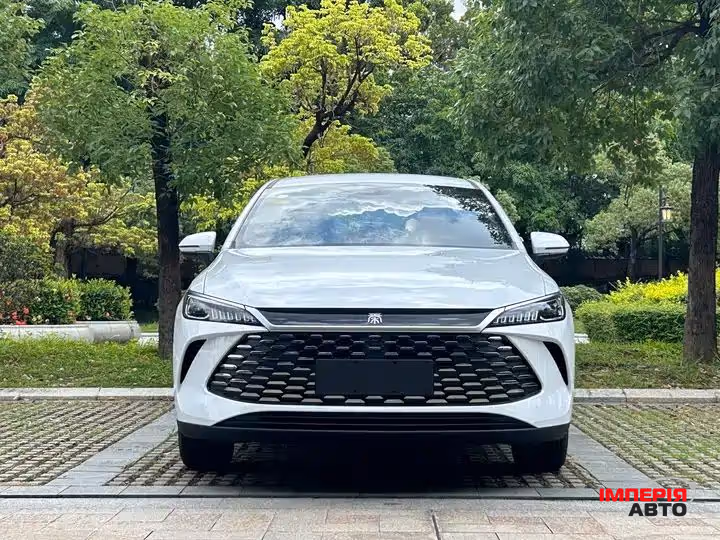 BYD Qin Plus - фото 2