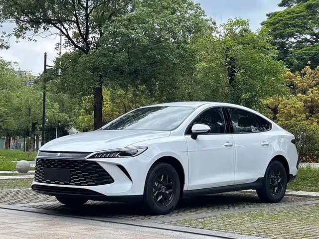 BYD Qin Plus - зображення 1