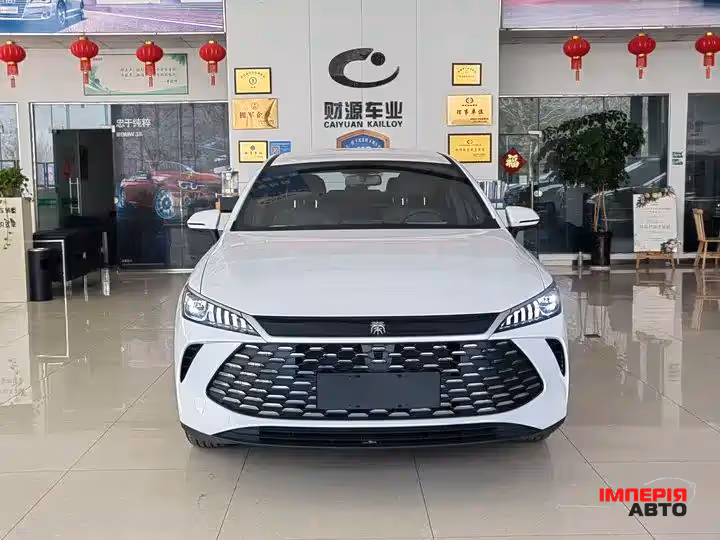 BYD Qin Plus - фото 2