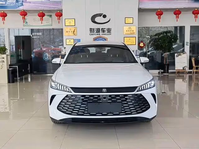 BYD Qin Plus - зображення 2