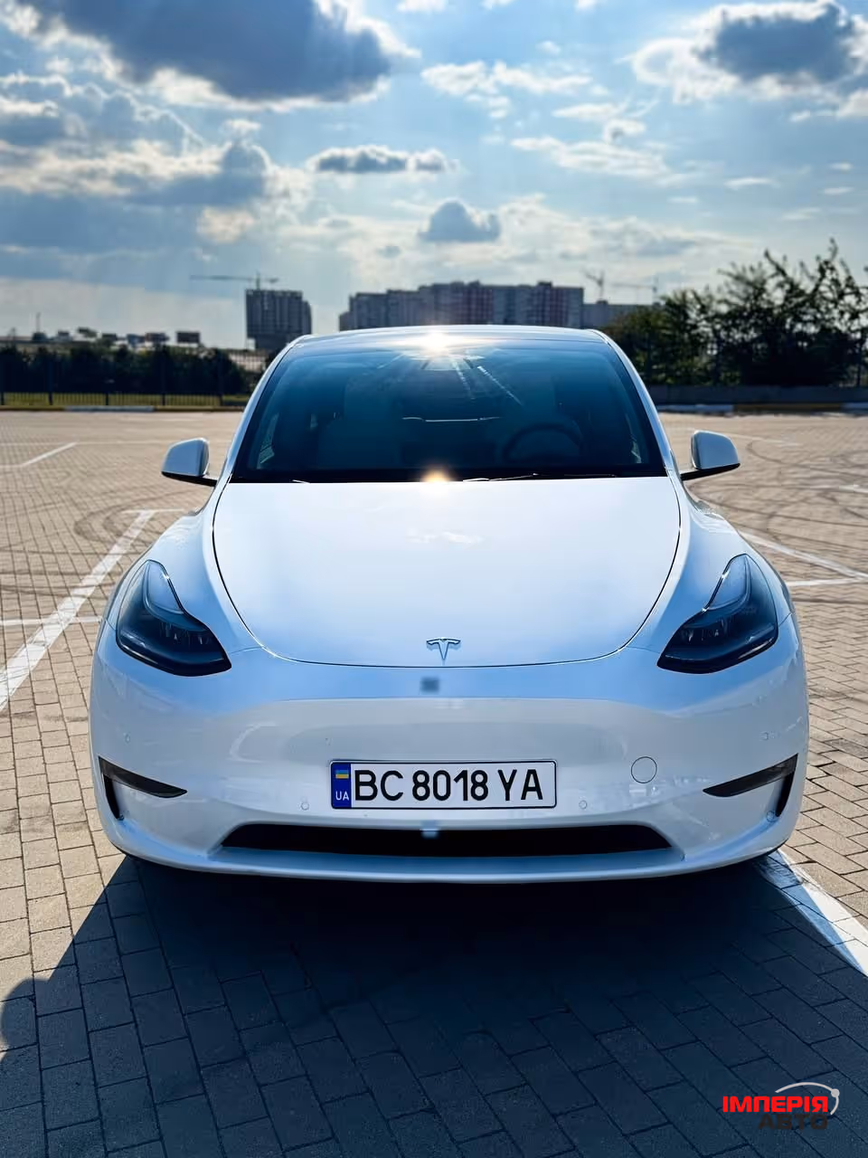 Tesla Model Y - фото 7