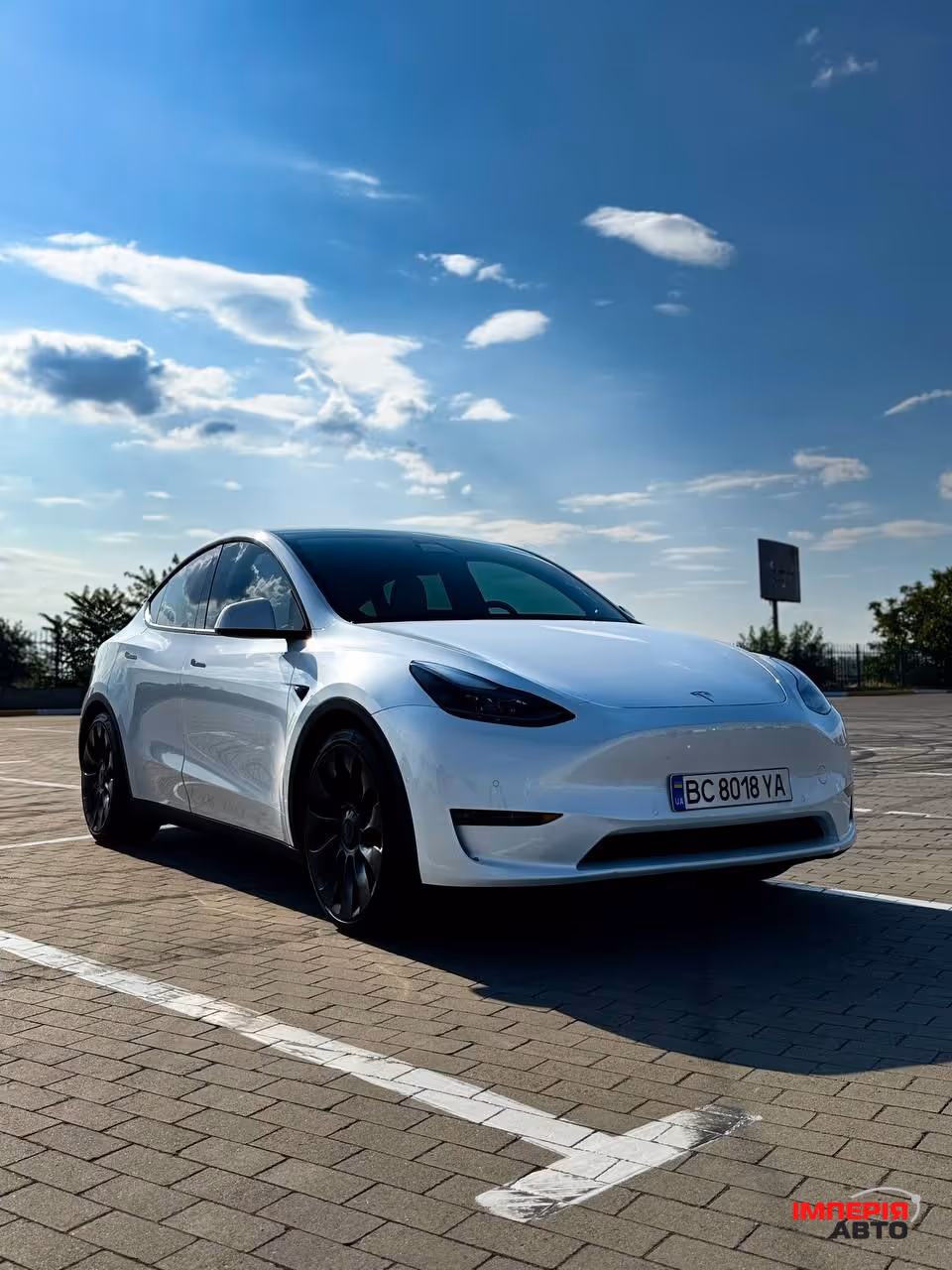 Tesla Model Y - фото 5