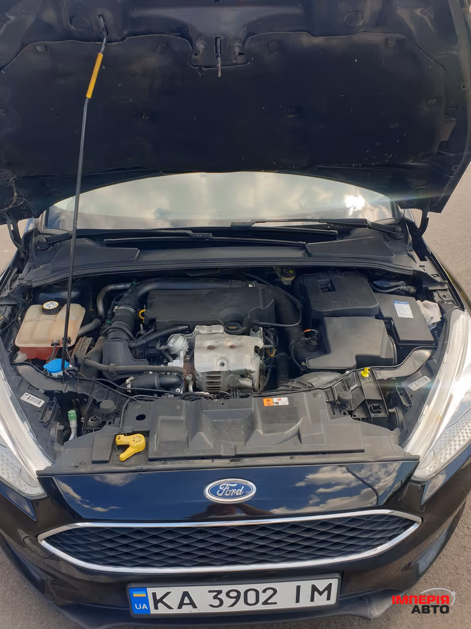 Ford Focus - фото 6