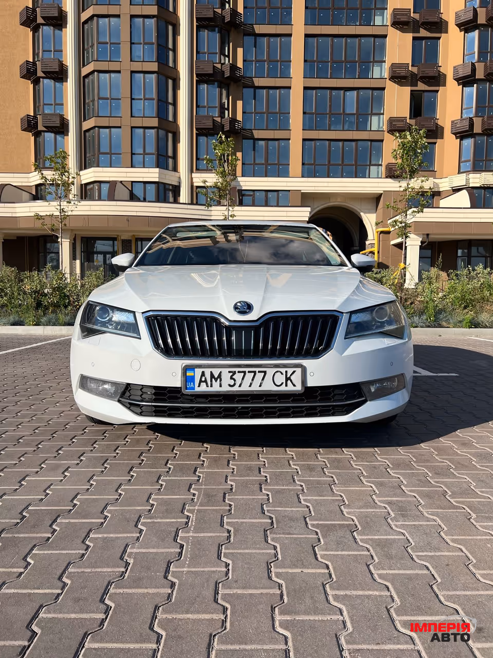Skoda Superb - фото 2
