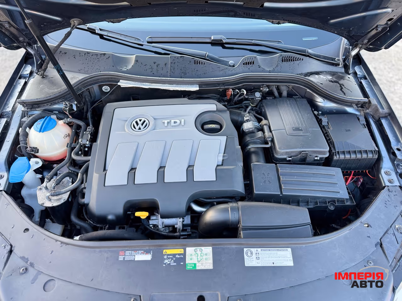 Volkswagen Passat - фото 15