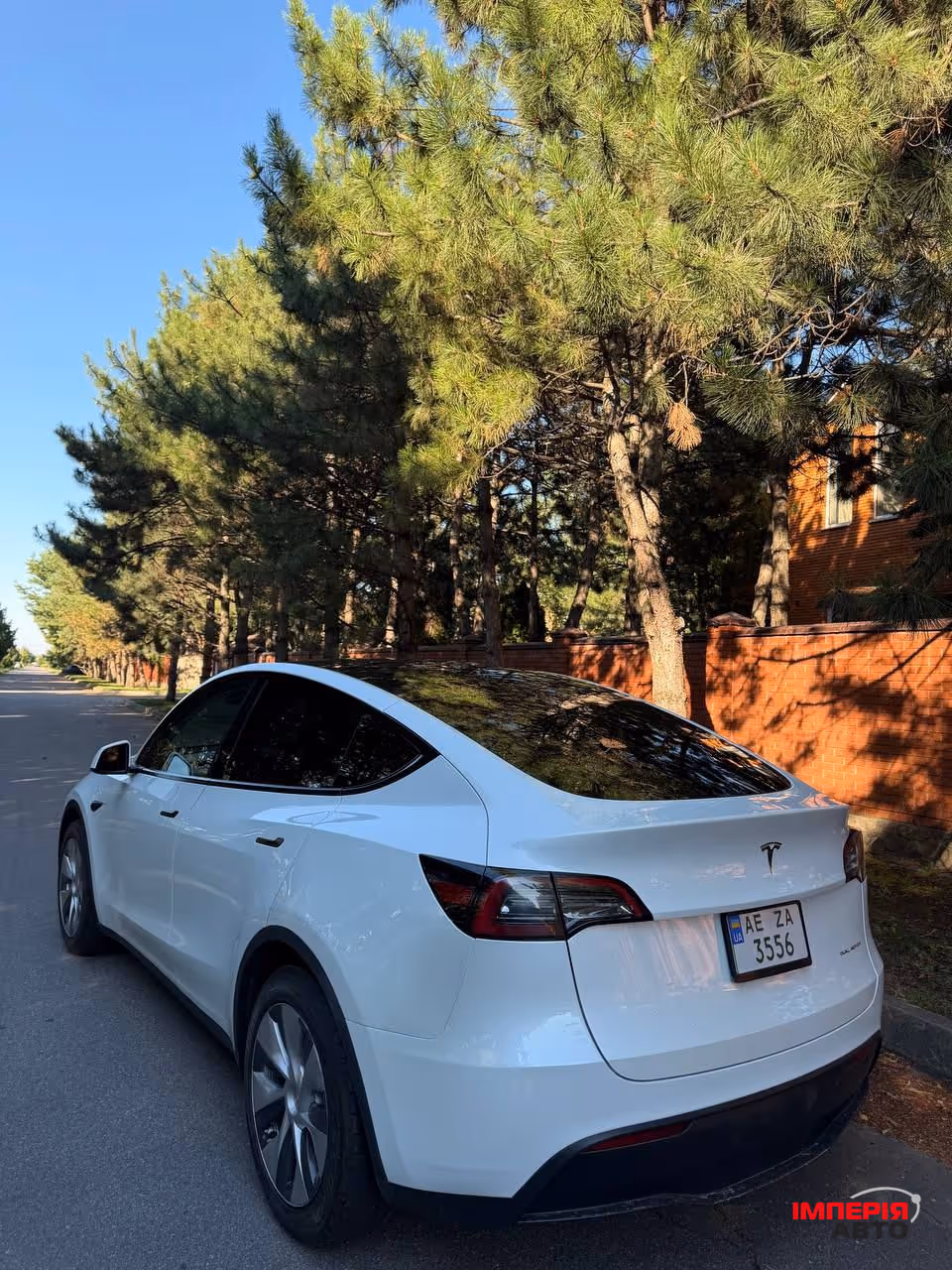 Tesla Model Y - фото 2