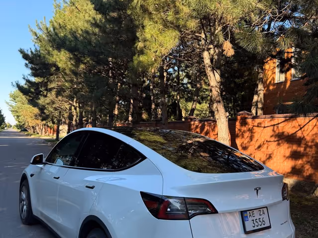 Tesla Model Y - зображення 2