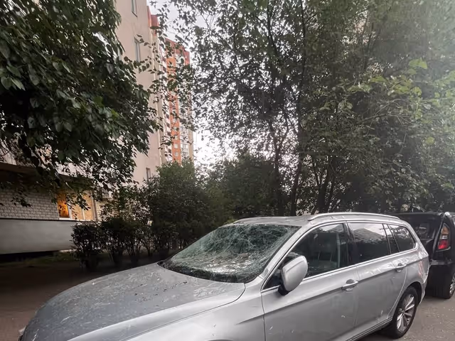 Volkswagen Passat - зображення 1