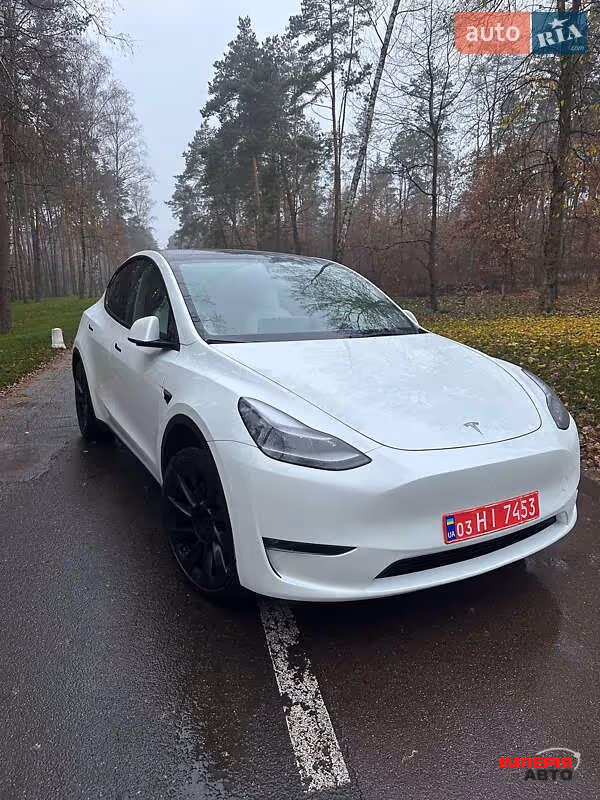 Tesla Model Y - фото 1